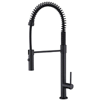Category name: Faucets